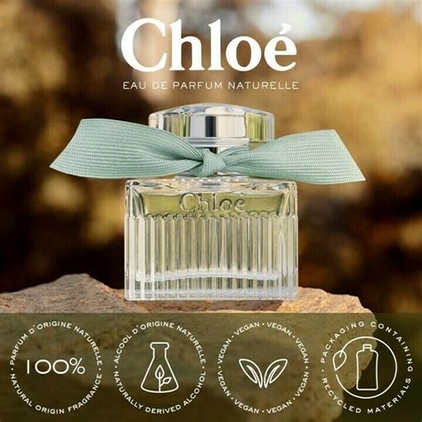 chloe rose naturelle dupe|Perfumes Similar To Chloe Eau de Parfum [Best Dupes].